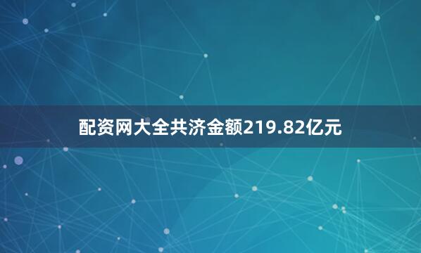 配资网大全共济金额219.82亿元