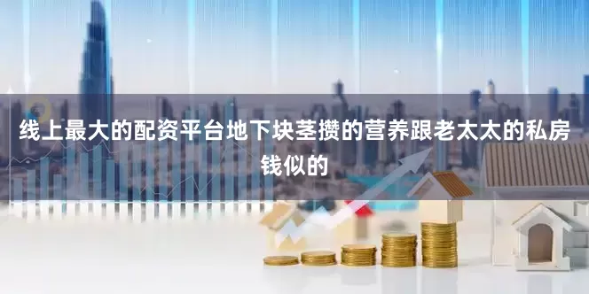 线上最大的配资平台地下块茎攒的营养跟老太太的私房钱似的