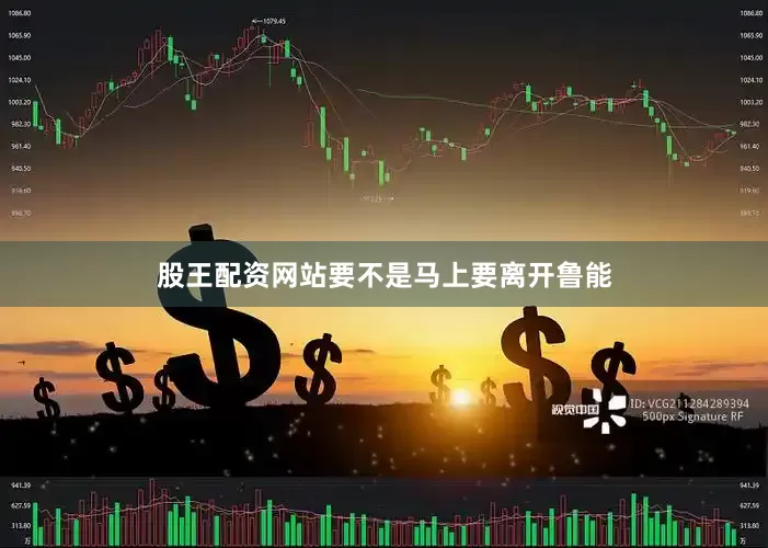 股王配资网站要不是马上要离开鲁能